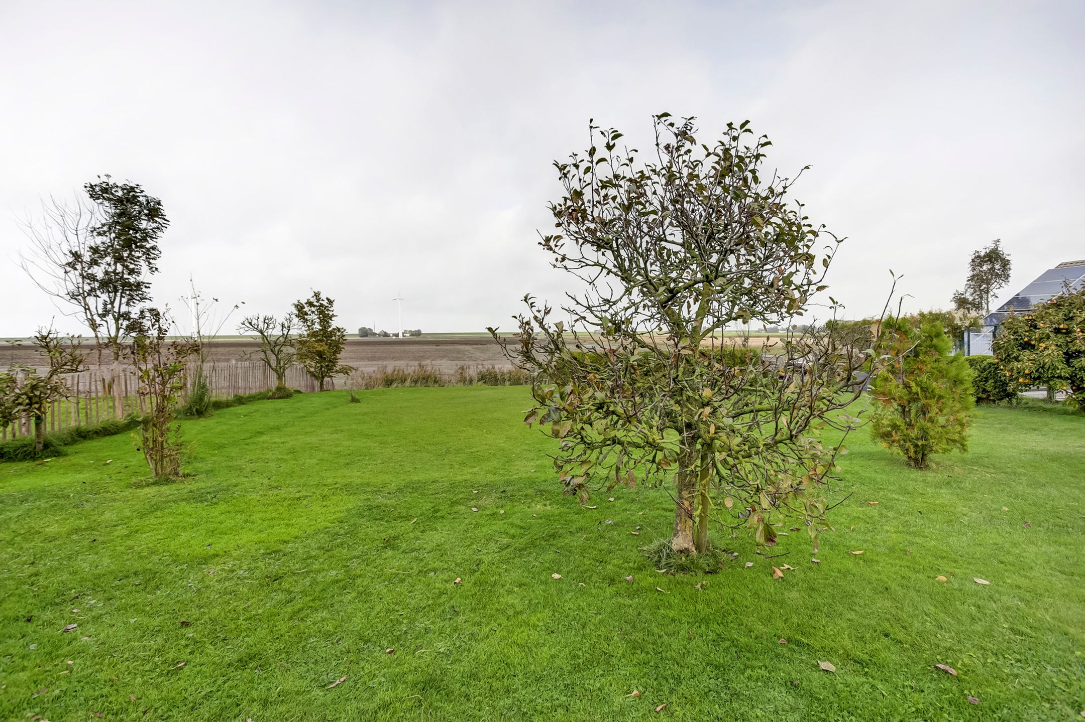 Photo 39 of Westernijtsjerk 8