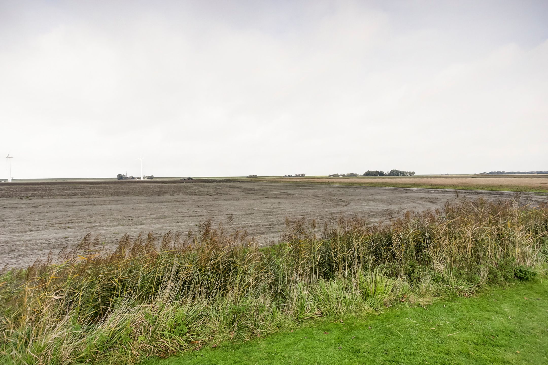 Photo 42 of Westernijtsjerk 8