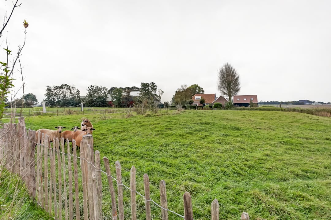 Photo 43 of Westernijtsjerk 8