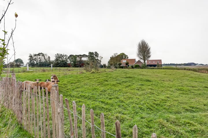 Photo 43 of Westernijtsjerk 8