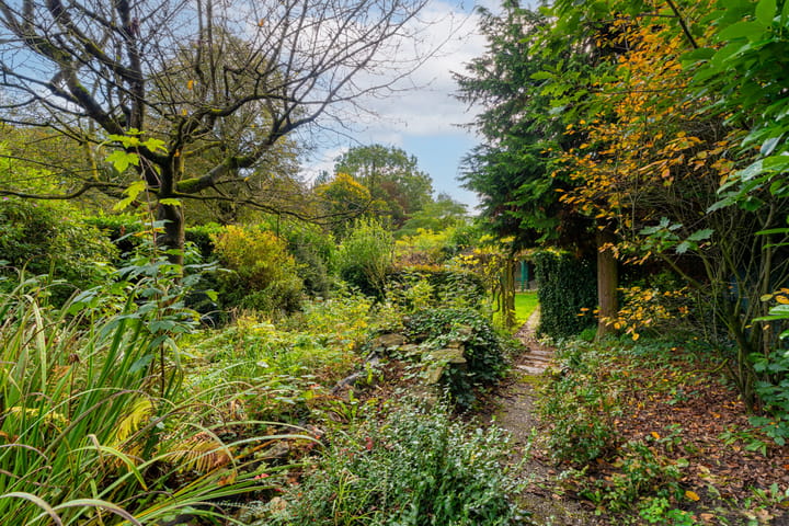 Foto 5 van Poolsestraat 61