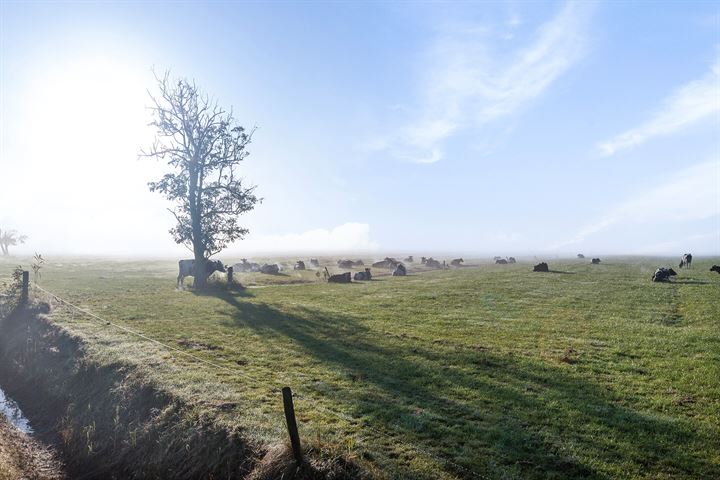 Bekijk foto 43 van Blauhûskamp 27