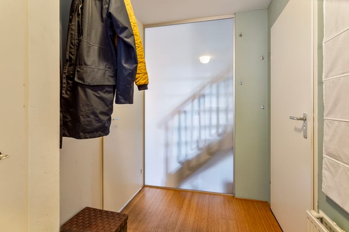 Foto 4 van Stokroos 9