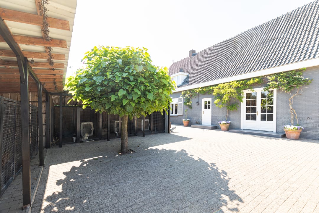 Foto 53 van van Heemstraweg 16