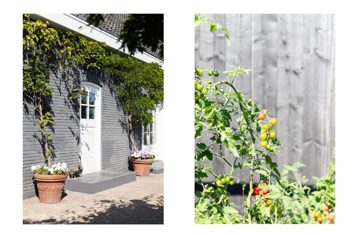 Foto 65 van van Heemstraweg 16