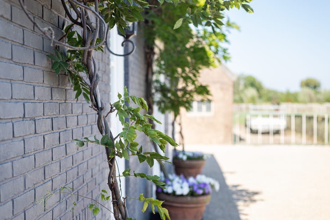 Foto 67 van van Heemstraweg 16