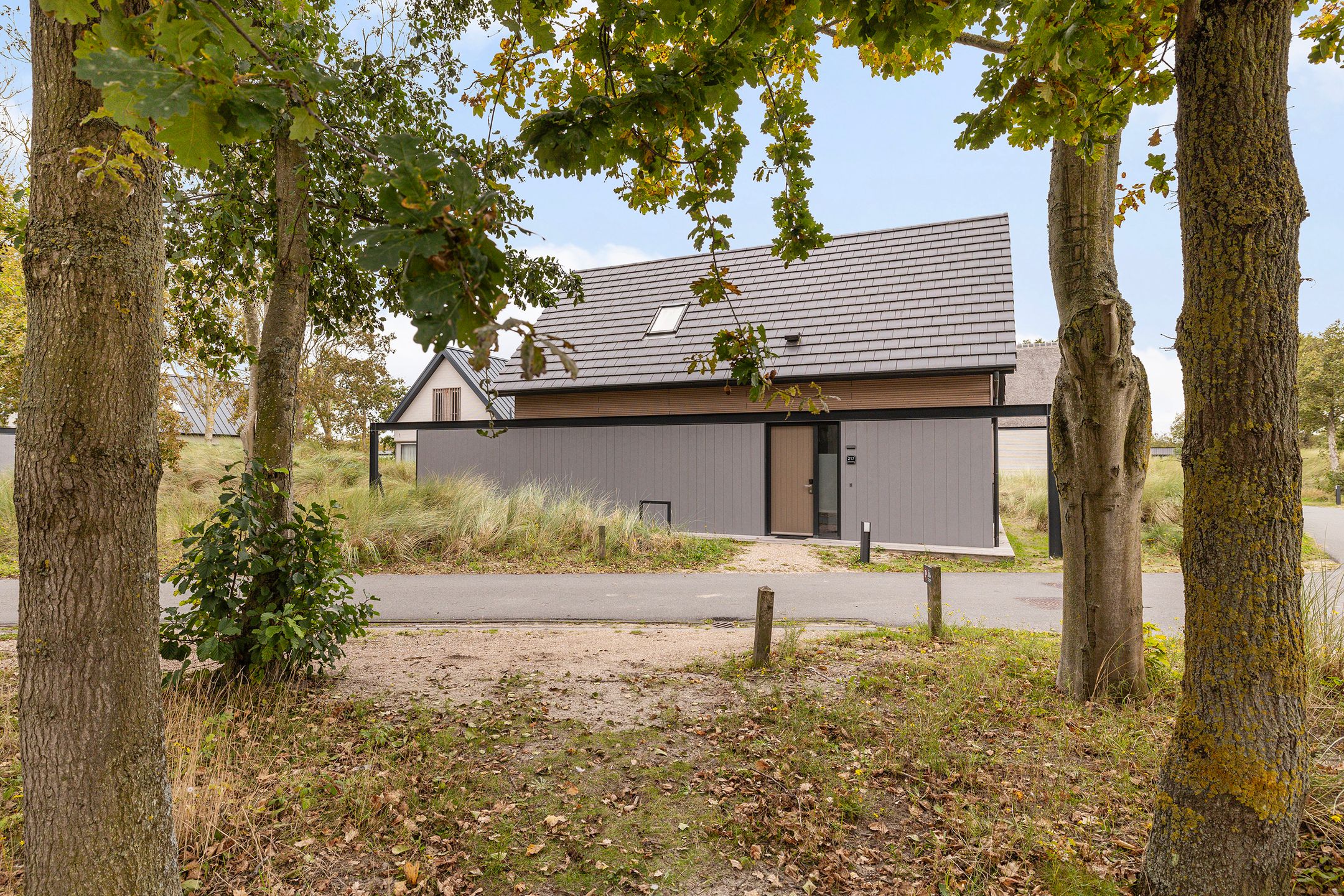Foto 39 van Ridderstee 217