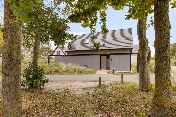 Foto 39 van Ridderstee 217