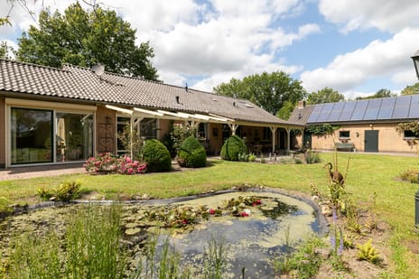 undefined main image