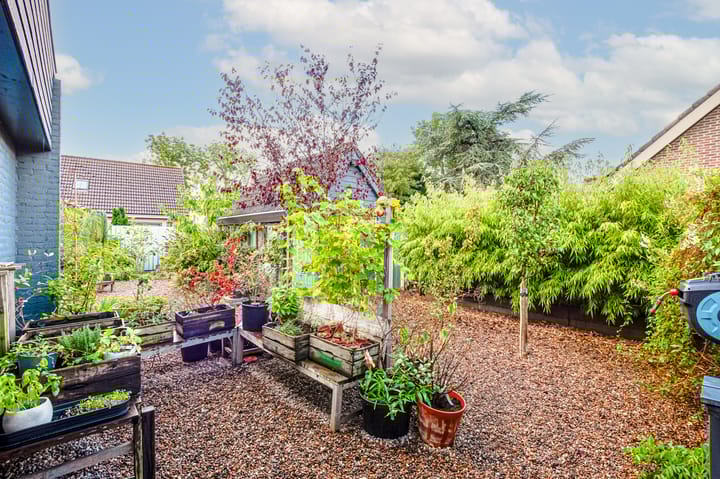 Foto 46 van Dokter d'Arnaudstraat 26