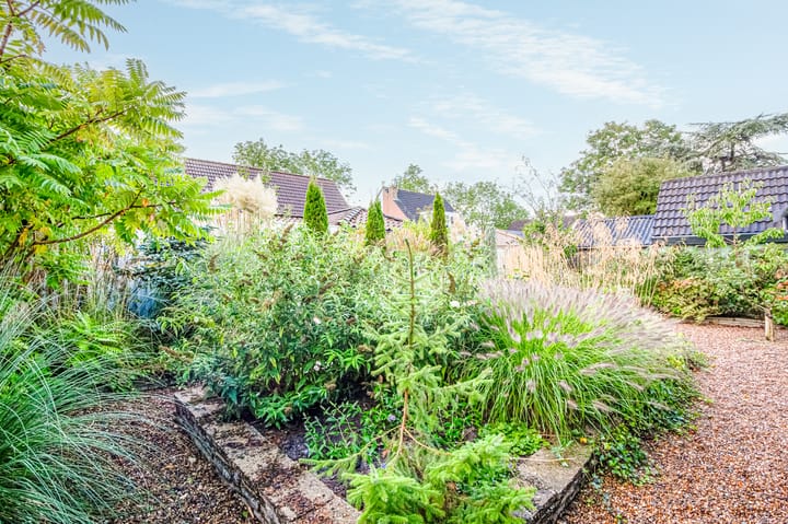 Foto 50 van Dokter d'Arnaudstraat 26