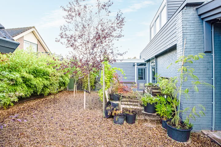 Foto 51 van Dokter d'Arnaudstraat 26