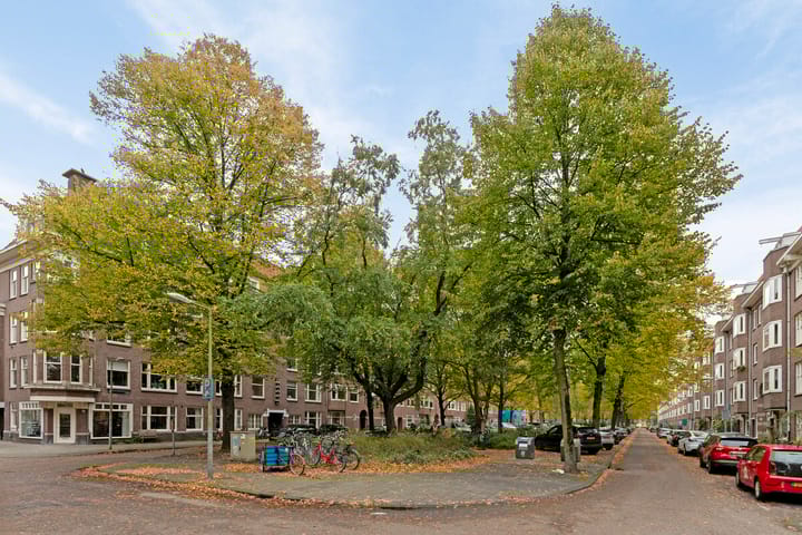 Foto 21 van Amazonenstraat 10-1
