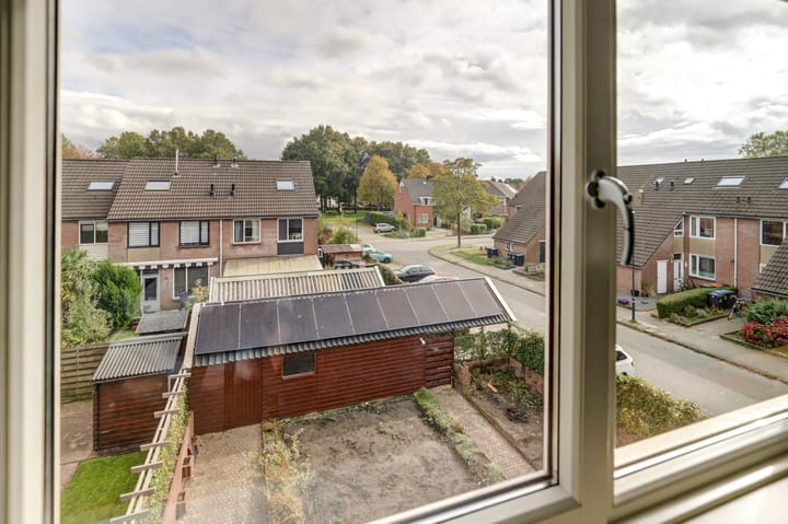 Foto 24 van Dorsvloer 20