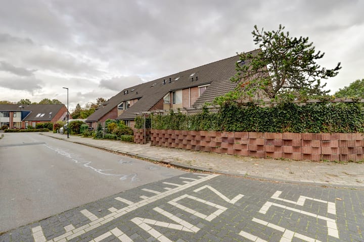 Foto 30 van Dorsvloer 20