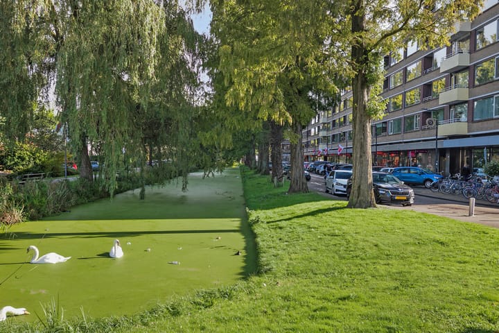 Photo 35 of Streksingel 41