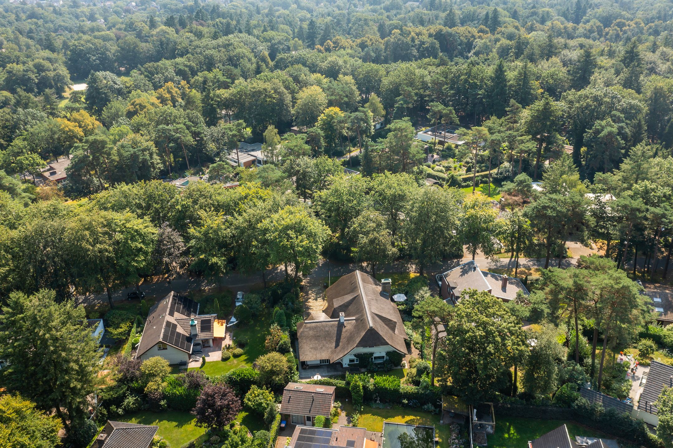 Foto 48 van Magnolialaan 14