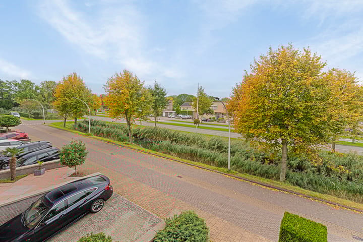 Foto 3 van Koningsvaren 20