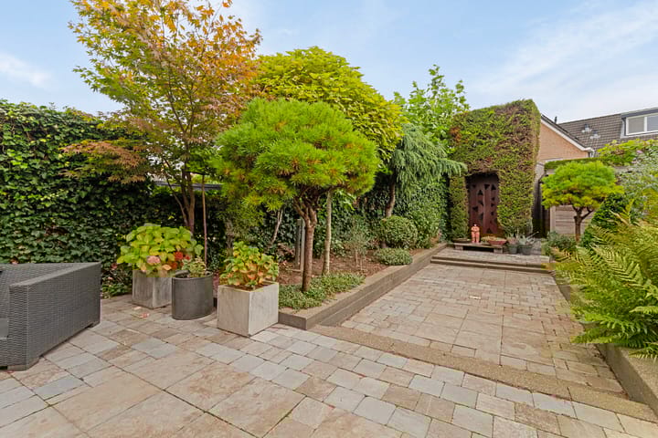 Foto 17 van Koningsvaren 20