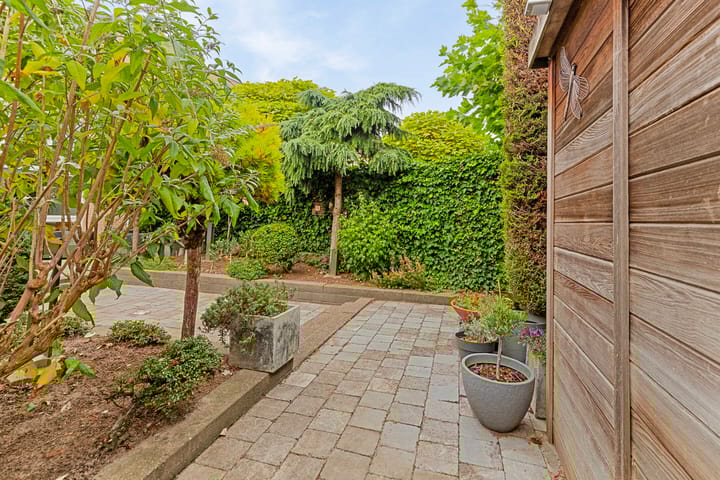 Foto 18 van Koningsvaren 20