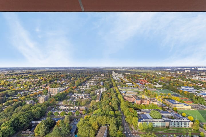 Foto 38 van Westpoint 155