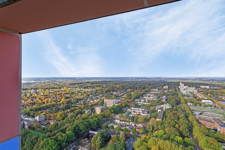 Foto 39 van Westpoint 155