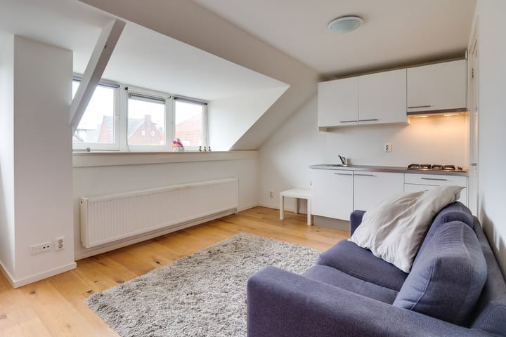 Foto 2 van Jan van Scorelstraat 142-C