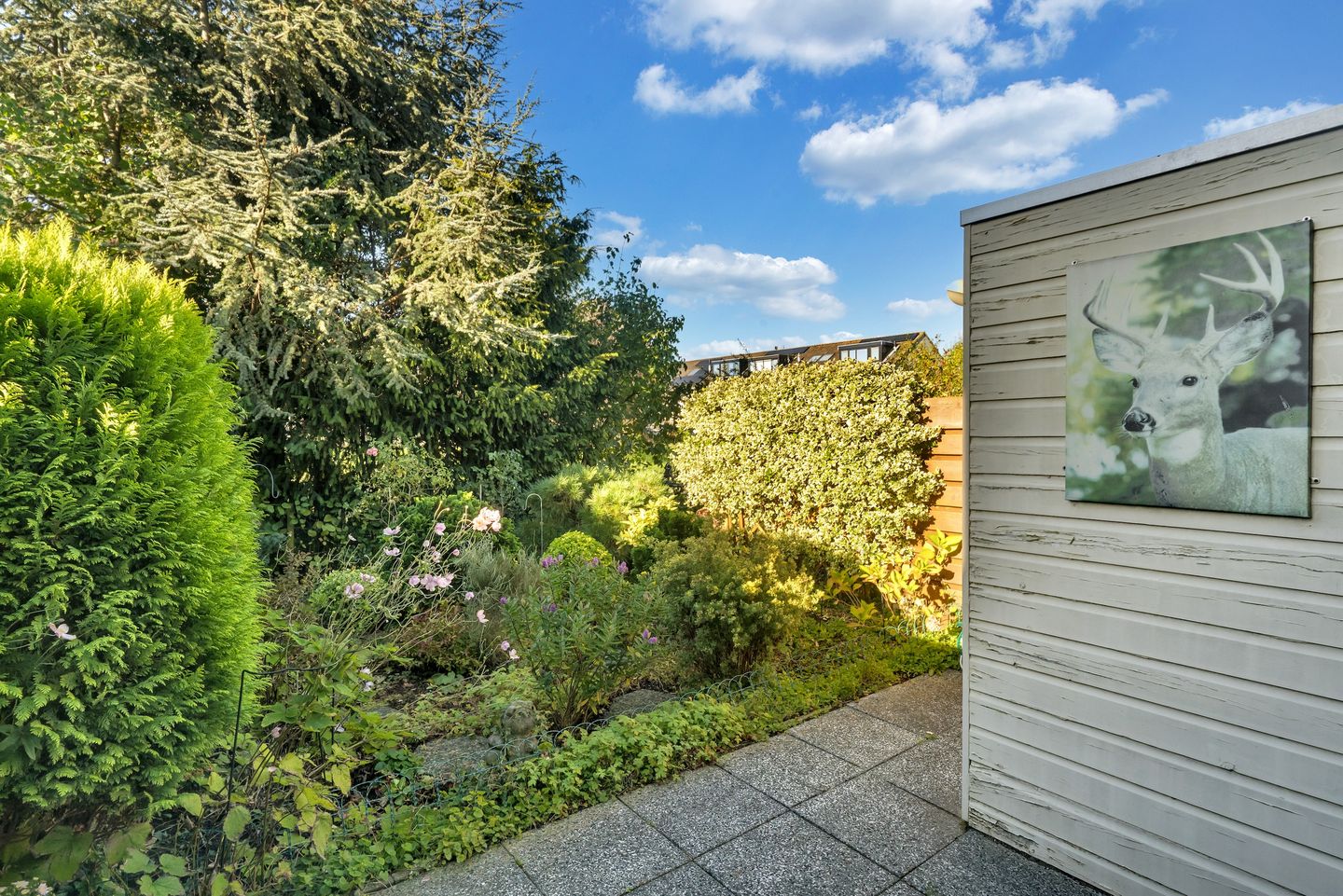 Foto 19 van Lommerbaan 81