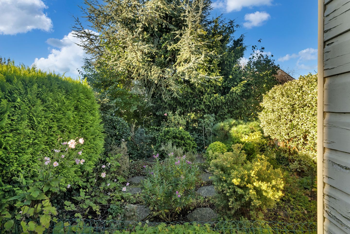 Foto 20 van Lommerbaan 81