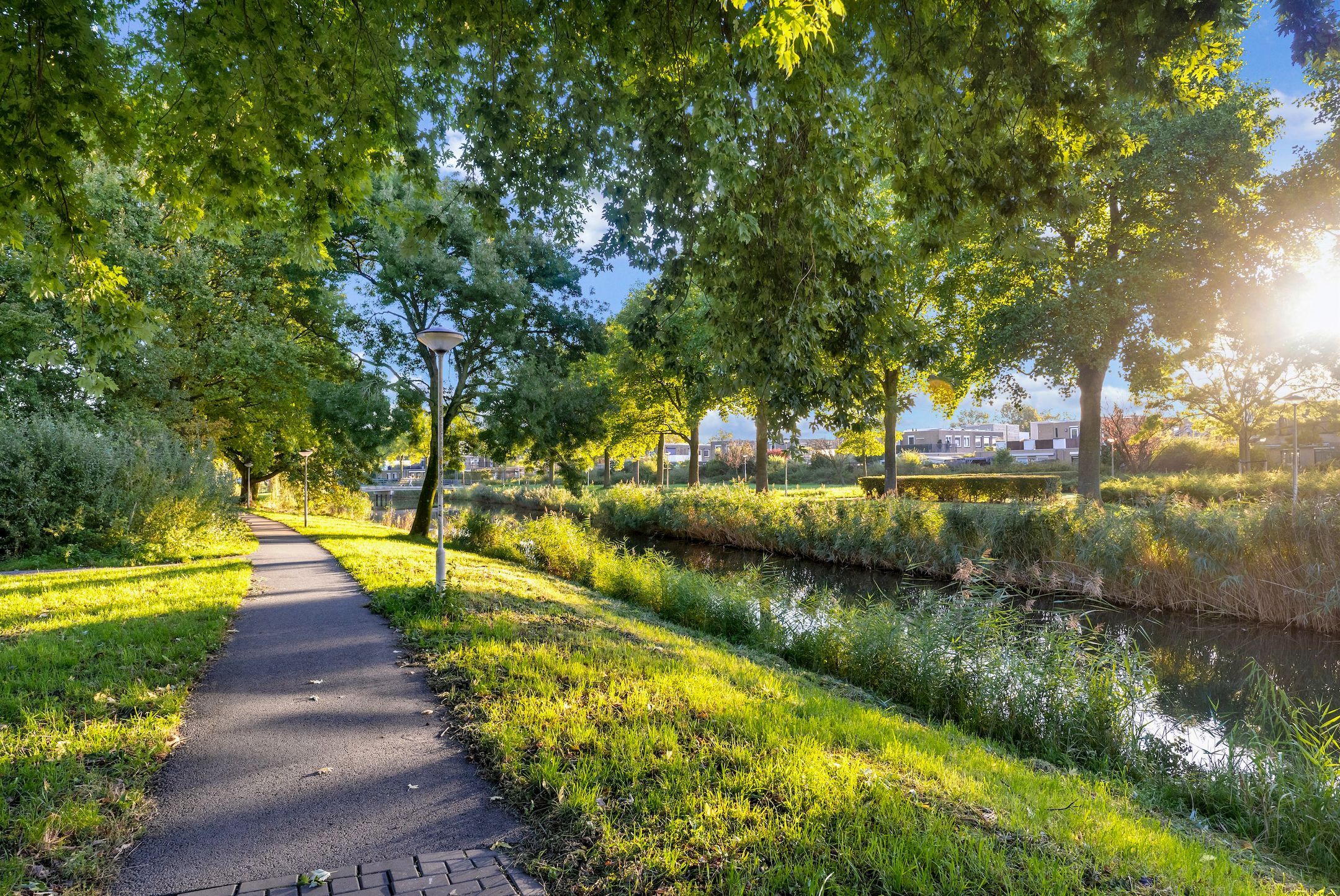 Foto 36 van Lommerbaan 81