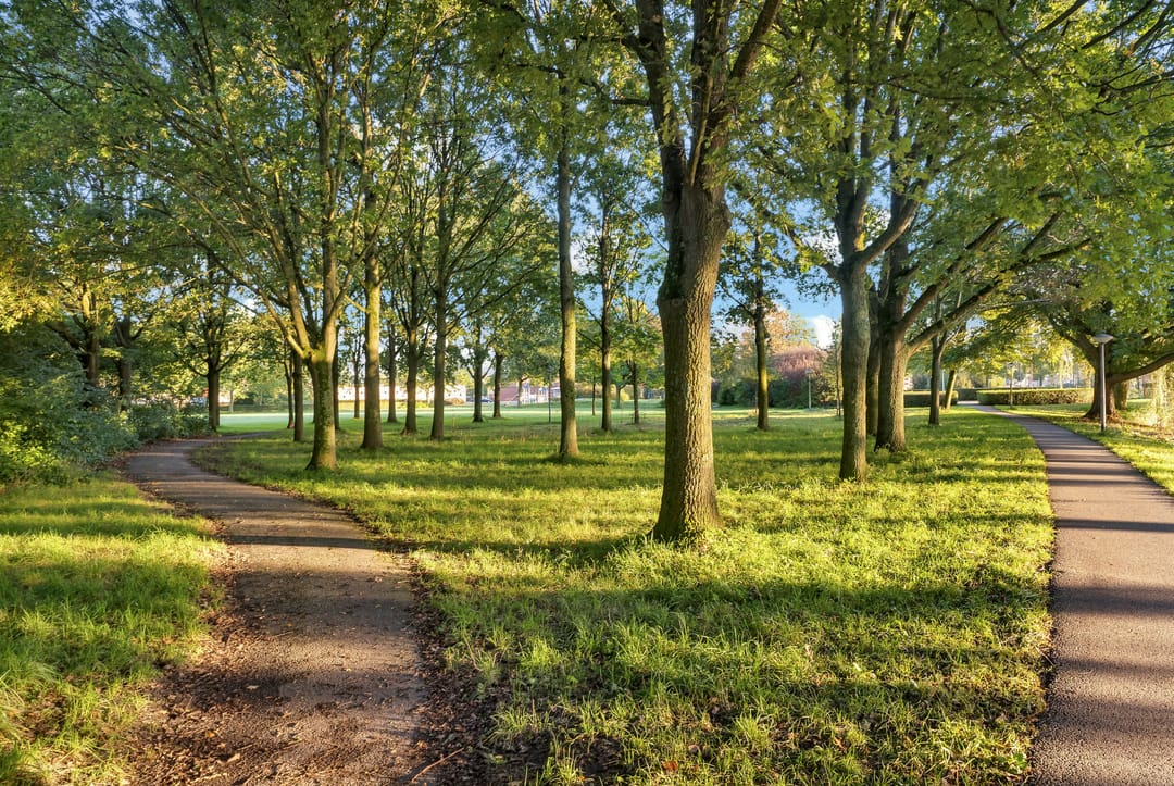 Foto 37 van Lommerbaan 81