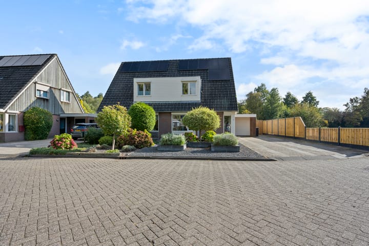 Photo 2 of Boterbloem 10