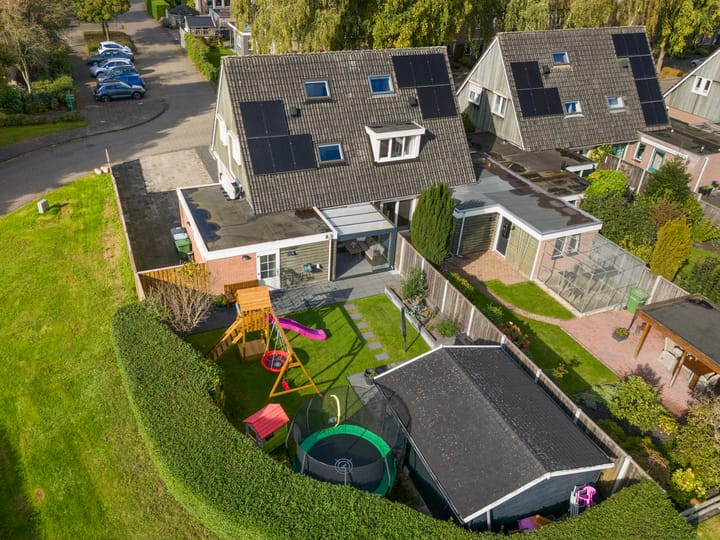 Photo 3 of Boterbloem 10