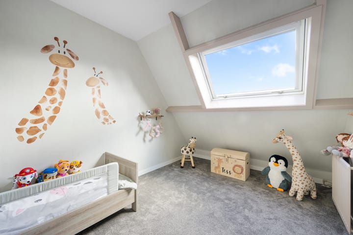 Photo 19 of Boterbloem 10