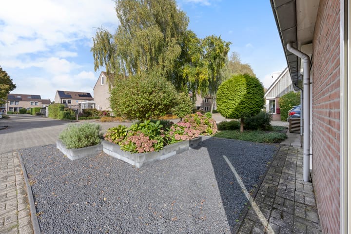 Photo 39 of Boterbloem 10