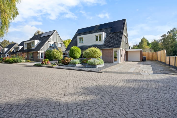 Photo 40 of Boterbloem 10