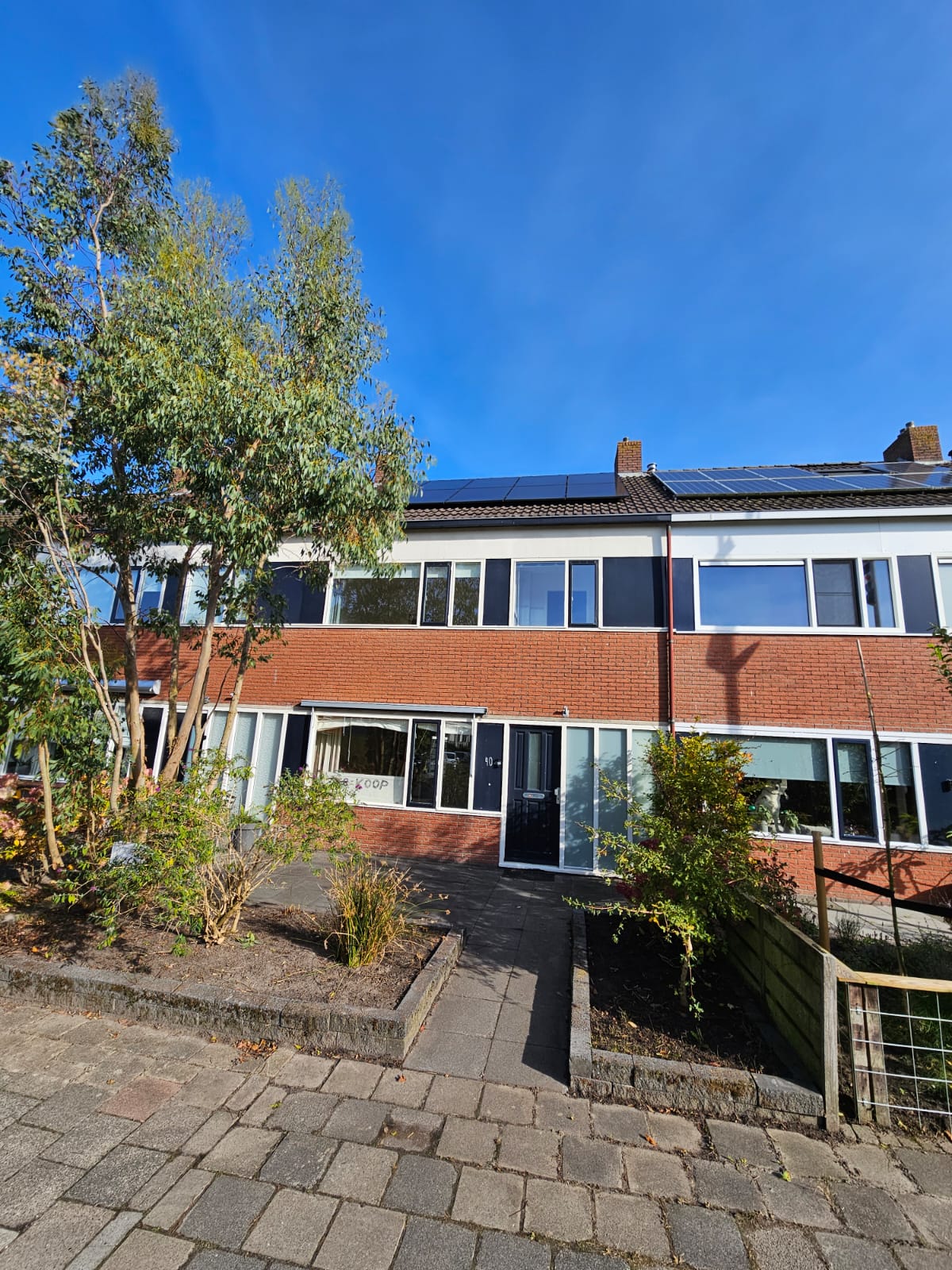 Foto 1 van Wylster 40