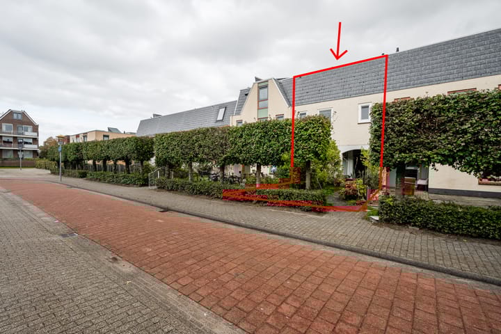 undefined main image