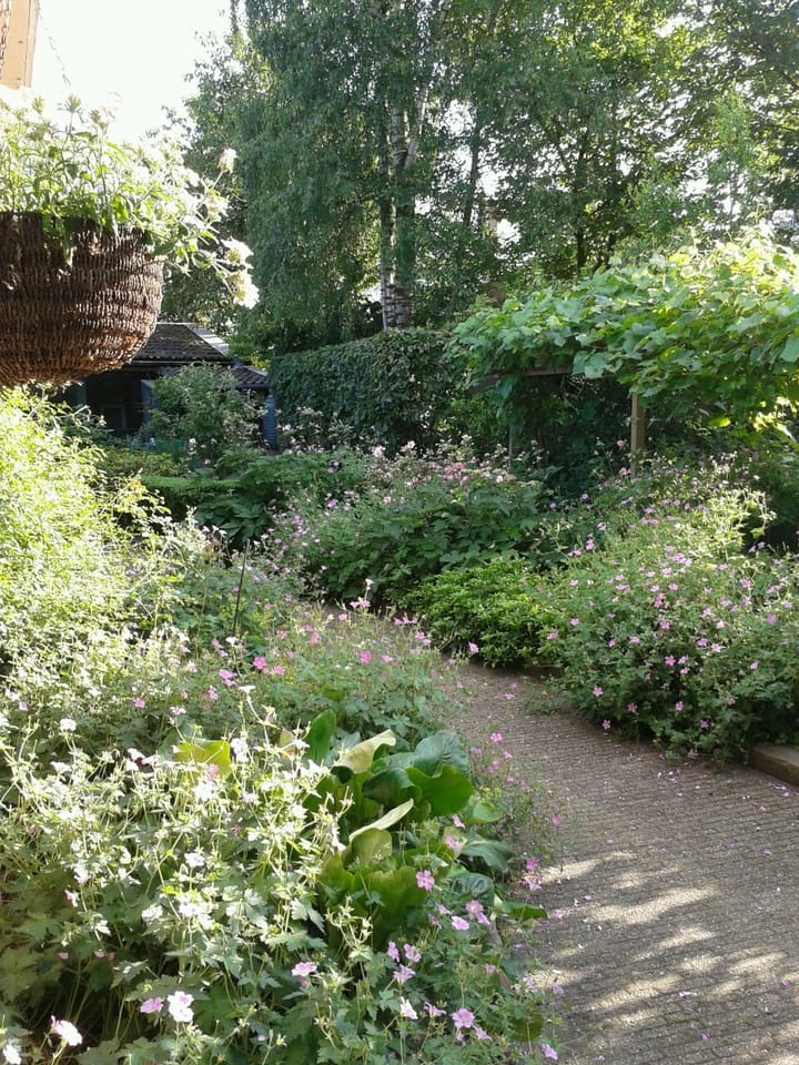 Foto 17 van Lekstraat 21