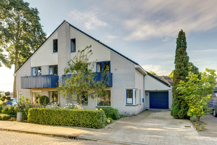 Foto 1 van Lemoenappel 10