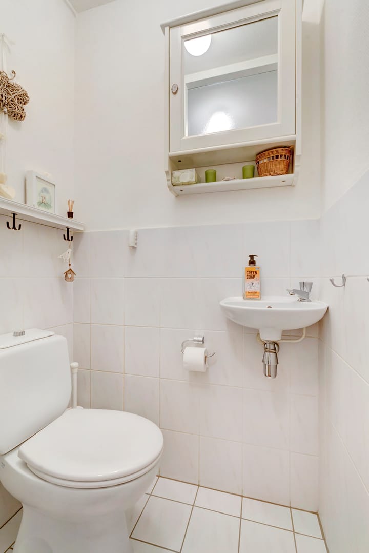 Foto 13 van Lemoenappel 10