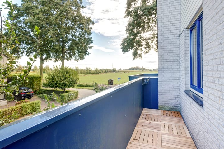 Foto 16 van Lemoenappel 10