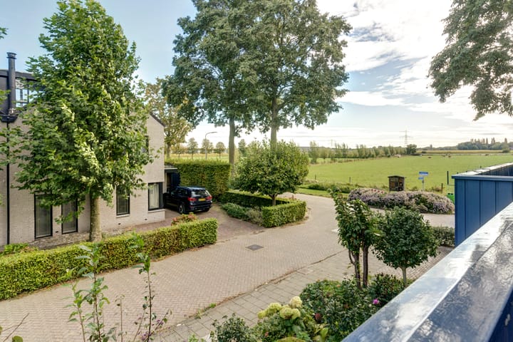 Foto 17 van Lemoenappel 10