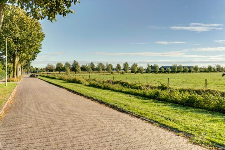 Foto 35 van Lemoenappel 10