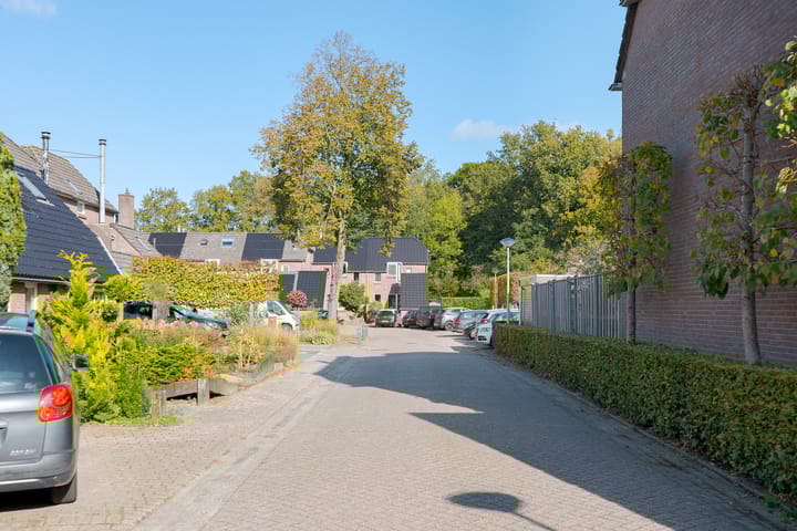 Foto 6 van Dingspil 10