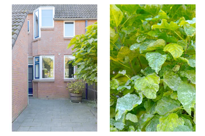 Foto 7 van Dingspil 10