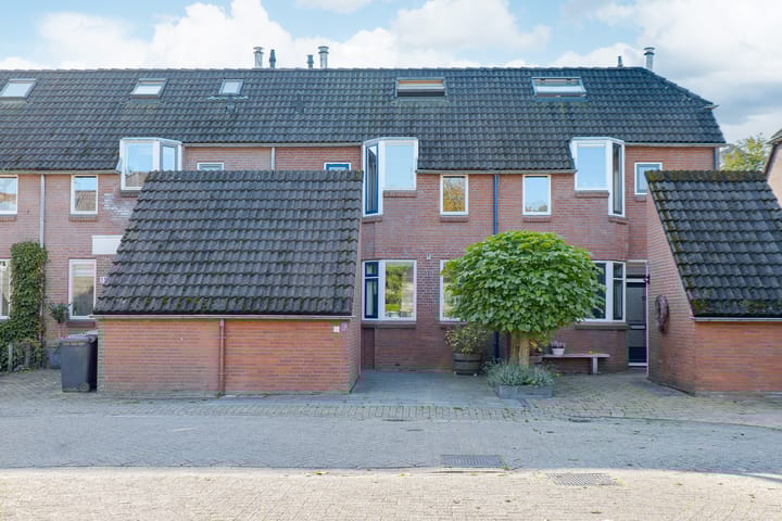 Foto 50 van Dingspil 10