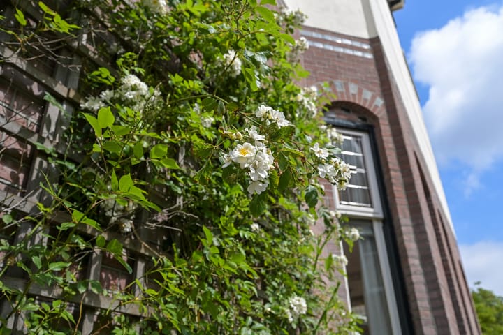 Foto 65 van Prins Mauritslaan 65