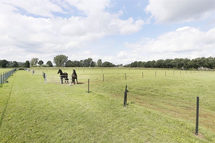 Bekijk foto 45 van Kilsdonkseweg 2