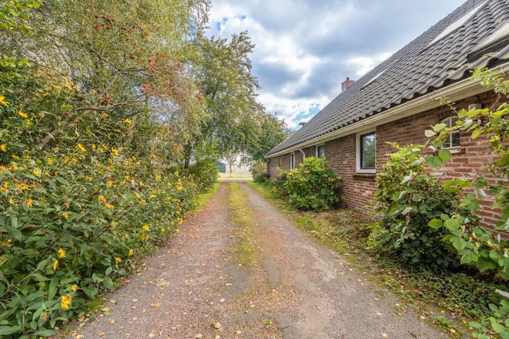 Foto 11 van Spitsbergen 3